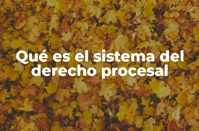 Qué es el Sistema Del Derecho Procesal
