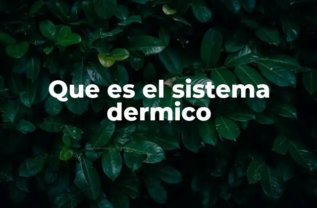 Que es el Sistema Dermico