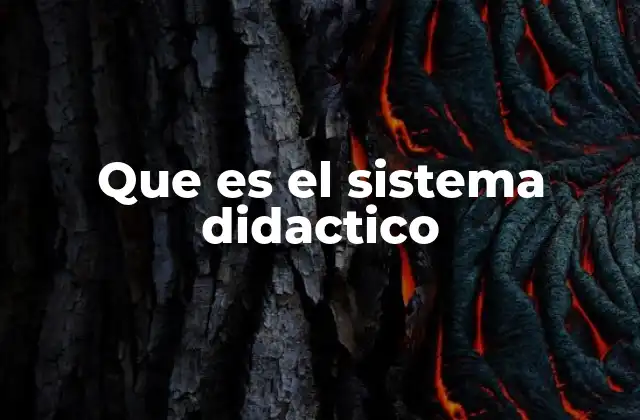 Que es el Sistema Didactico