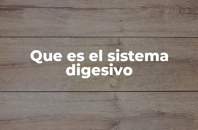 Que es el Sistema Digesivo