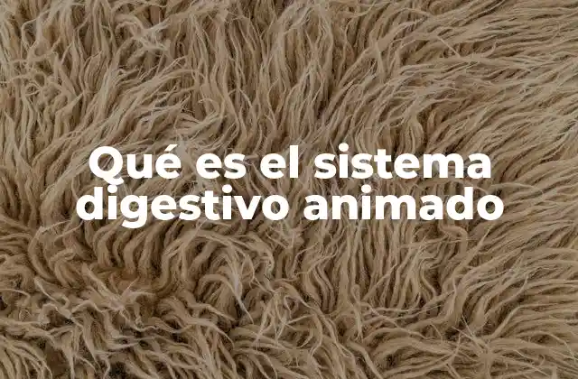 Qué es el Sistema Digestivo Animado
