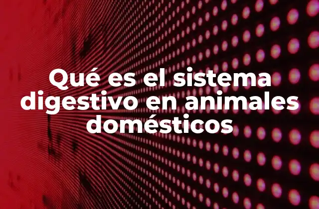 Funcionamiento del sistema digestivo en animales domésticos