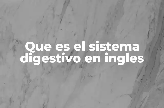 Que es el Sistema Digestivo en Ingles