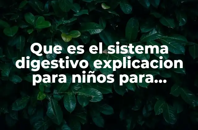 Cómo funciona el cuerpo al comer