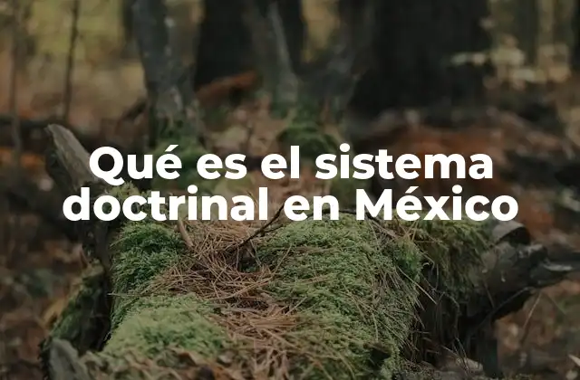 Qué es el Sistema Doctrinal en México