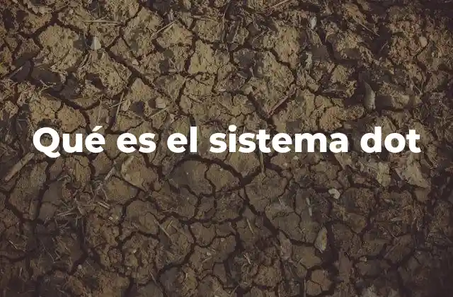 Qué es el Sistema Dot