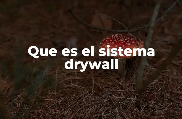Que es el Sistema Drywall 2 Cómo funciona el sistema de construcción con drywall