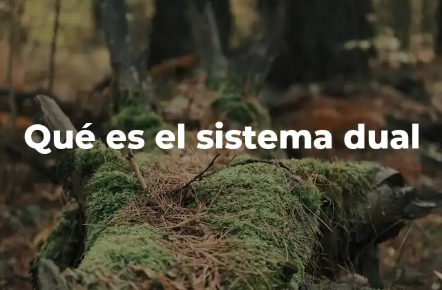 Qué es el Sistema Dual