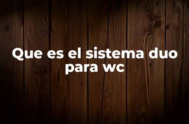 Cómo funciona el sistema duo sin mencionar directamente la palabra clave
