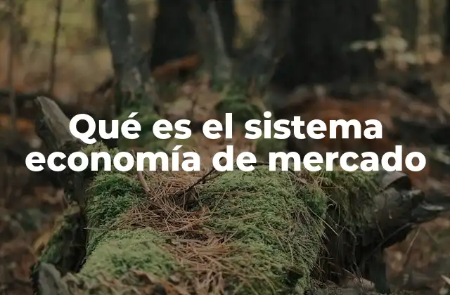 Qué es el Sistema Economía de Mercado