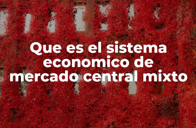 Que es el Sistema Economico de Mercado Central Mixto