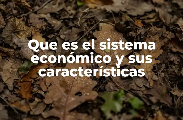 Que es el Sistema Económico y Sus Características