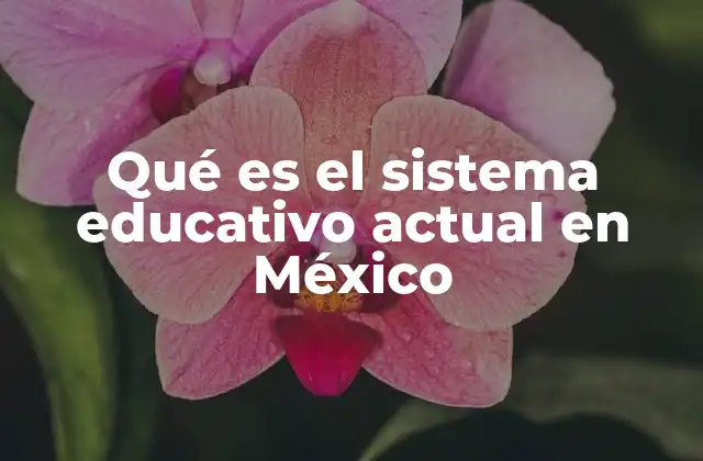 Qué es el Sistema Educativo Actual en México
