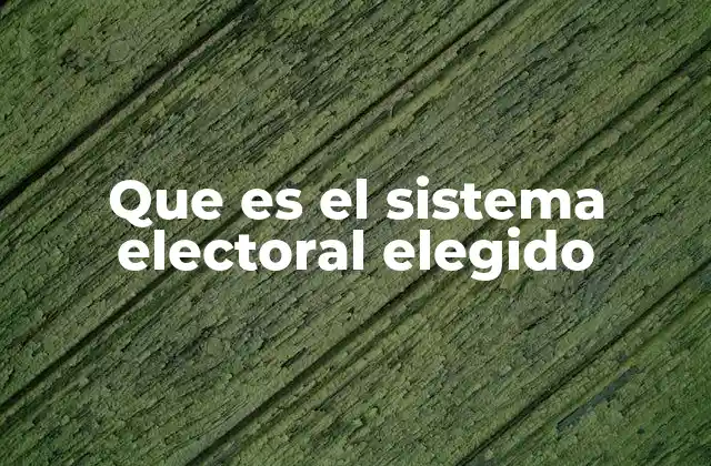 Que es el Sistema Electoral Elegido