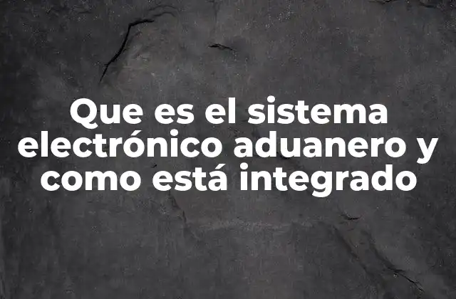 Que es el Sistema Electrónico Aduanero y como Está Integrado