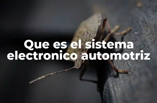 Que es el Sistema Electronico Automotriz