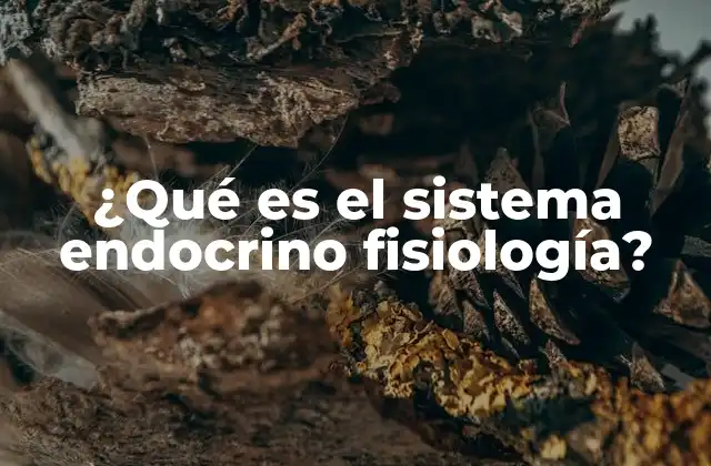 ¿qué es el Sistema Endocrino Fisiología? 2 La función del sistema endocrino