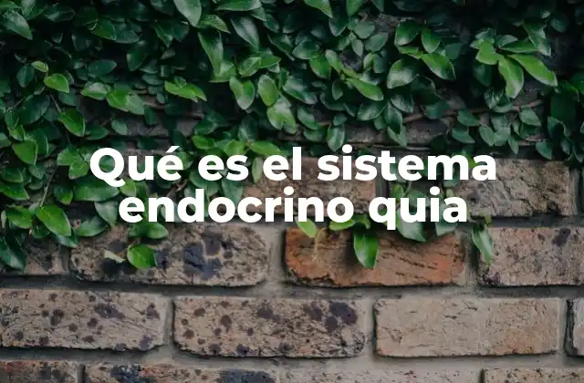 Qué es el Sistema Endocrino Quia