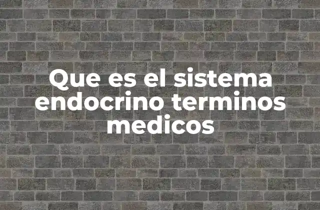 El papel del sistema endocrino en la regulación del organismo