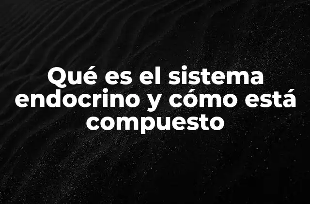 Qué es el Sistema Endocrino y Cómo Está Compuesto