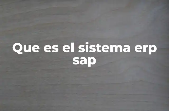 Que es el Sistema Erp Sap