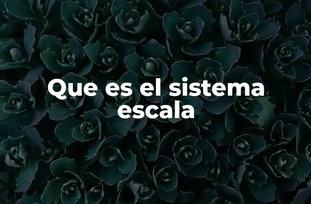 Que es el Sistema Escala