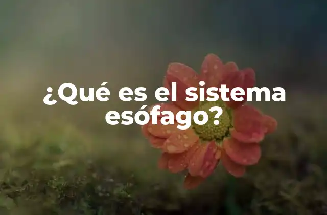 ¿qué es el Sistema Esófago?