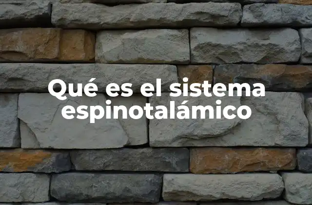 Qué es el Sistema Espinotalámico