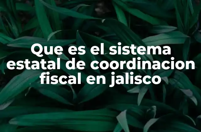 Que es el Sistema Estatal de Coordinacion Fiscal en Jalisco