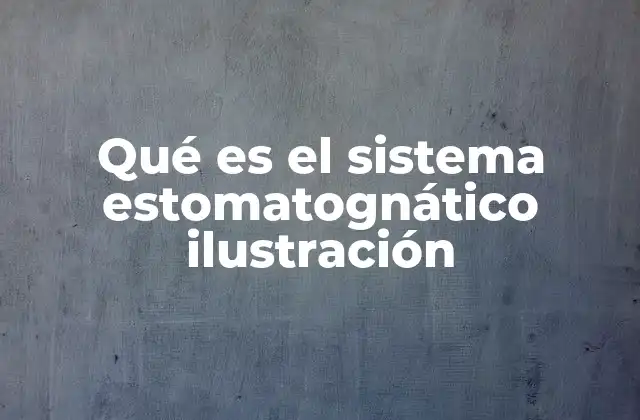 Qué es el Sistema Estomatognático Ilustración