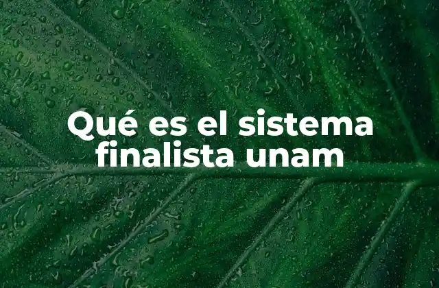 Qué es el Sistema Finalista Unam