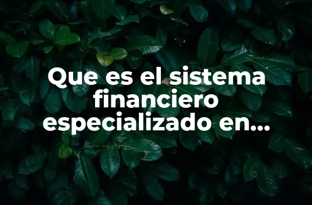 Que es el Sistema Financiero Especializado en Crédito