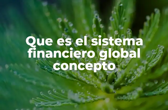 Que es el Sistema Financiero Global Concepto