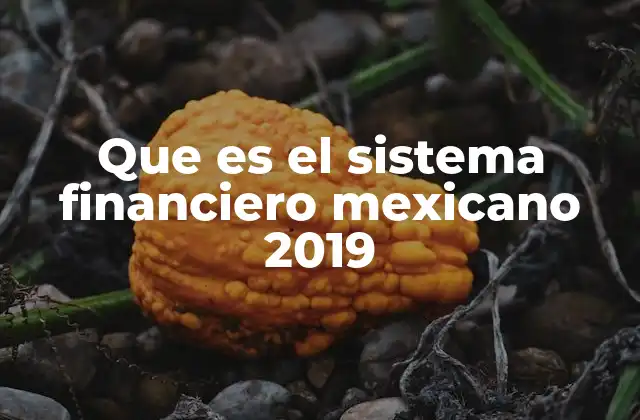 Que es el Sistema Financiero Mexicano 2019