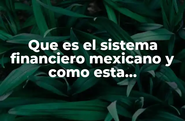 Que es el Sistema Financiero Mexicano y como Esta Estructurado