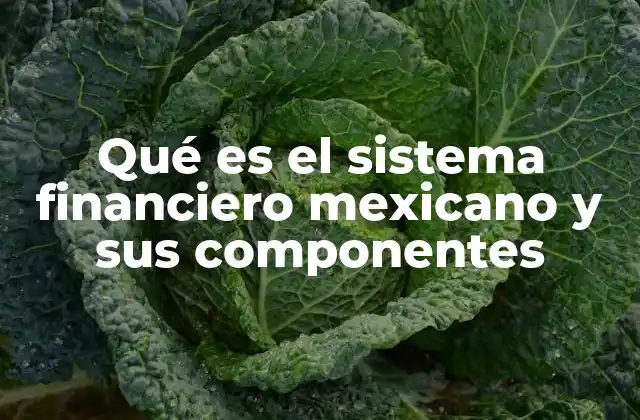 Qué es el Sistema Financiero Mexicano y Sus Componentes
