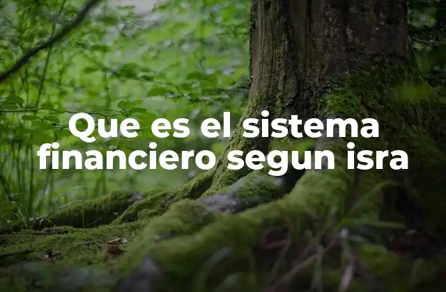 La importancia del sistema financiero en la economía nacional
