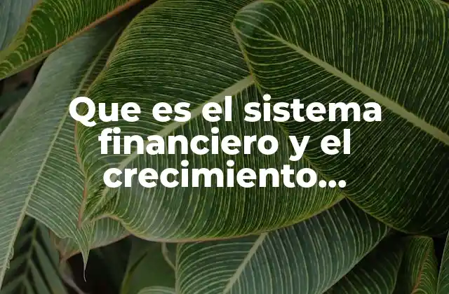 Que es el Sistema Financiero y el Crecimiento Económico