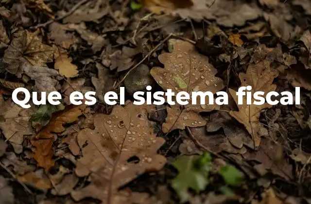 La importancia del sistema fiscal en la organización estatal