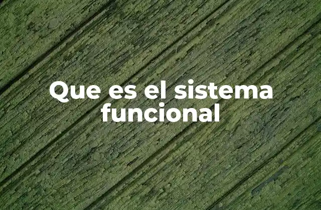 ¿Cómo se diferencia el sistema funcional de otros tipos de organización?