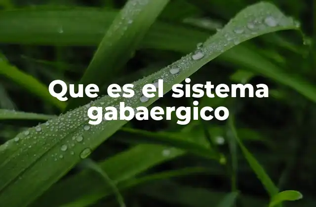 Que es el Sistema Gabaergico 2 La importancia del equilibrio neuronal
