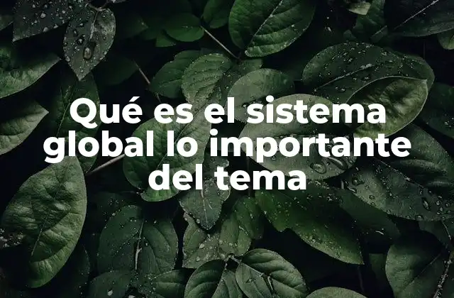 Qué es el Sistema Global Lo Importante Del Tema