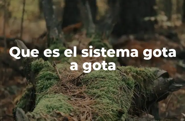 Que es el Sistema Gota a Gota 2 ¿Cómo funciona el sistema de riego por goteo?