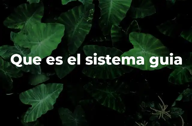 Que es el Sistema Guia 2 La importancia de los sistemas guía en espacios públicos