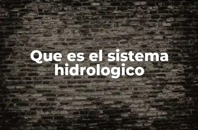 Que es el Sistema Hidrologico