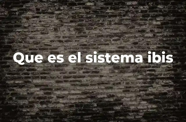 Que es el Sistema Ibis