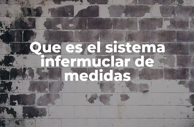 Que es el Sistema Infermuclar de Medidas 2 Sistemas de medida reconocidos y su importancia