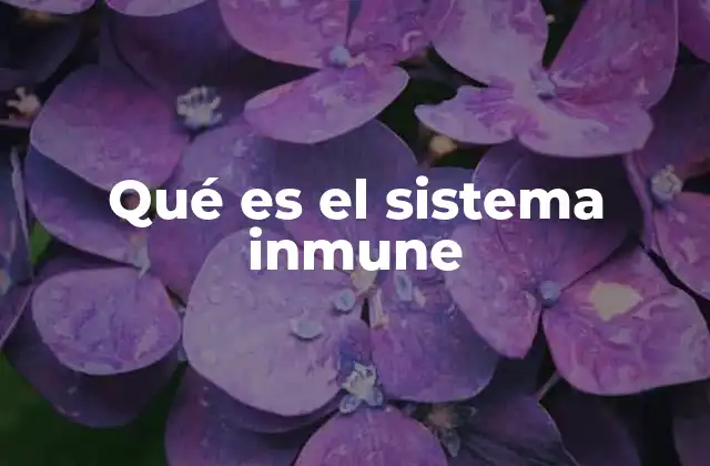 Qué es el Sistema Inmune