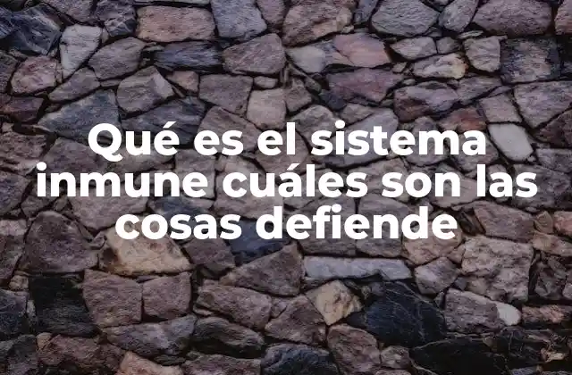 Qué es el Sistema Inmune Cuáles Son las Cosas Defiende
