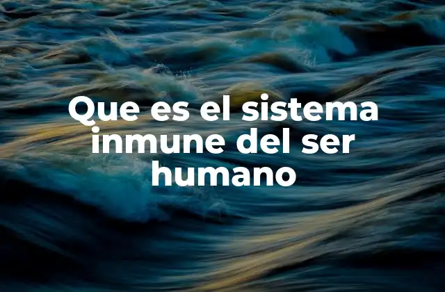 Que es el Sistema Inmune Del Ser Humano